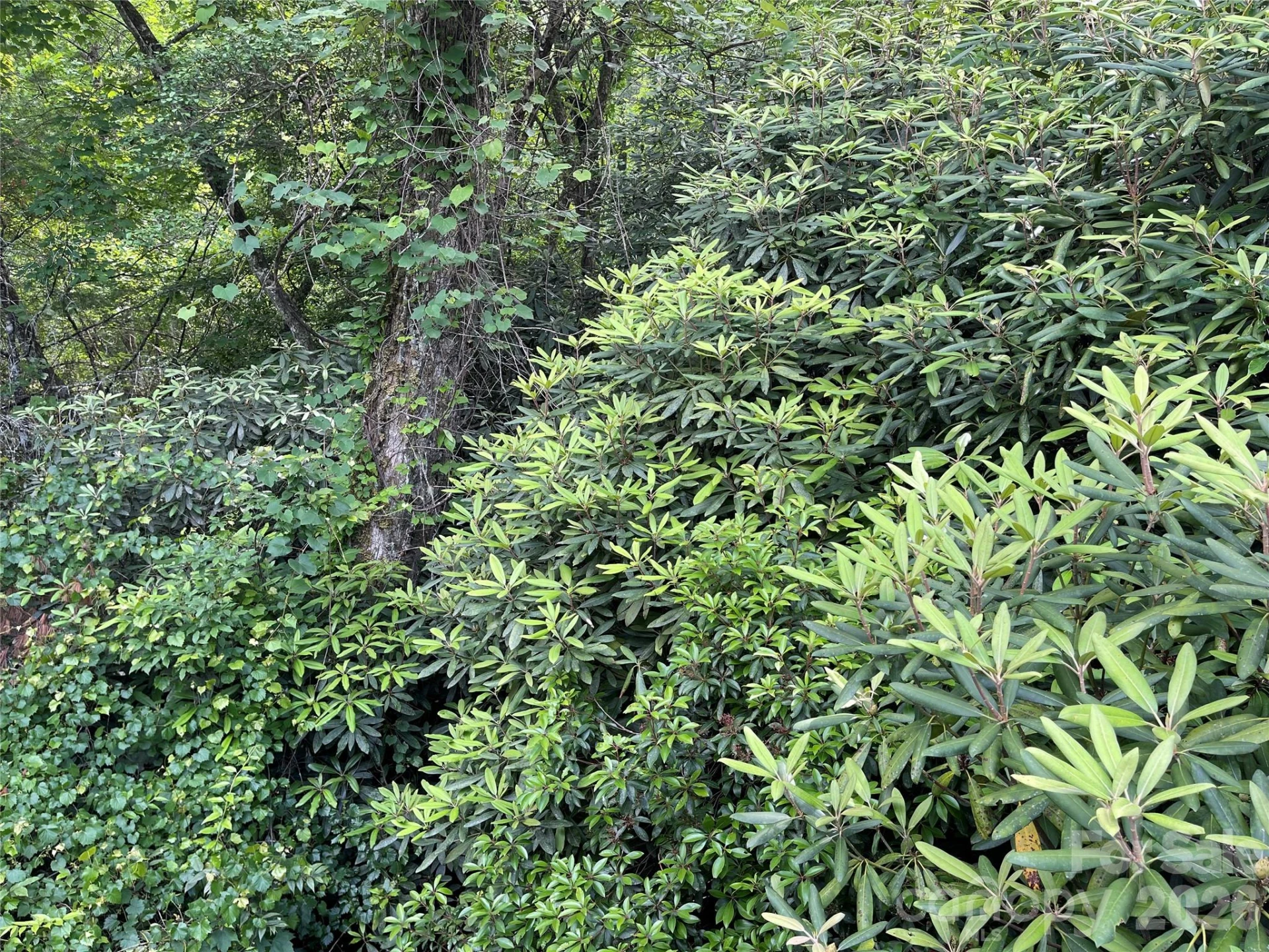 Lot 45 Abby Falls Drive - Photo 15