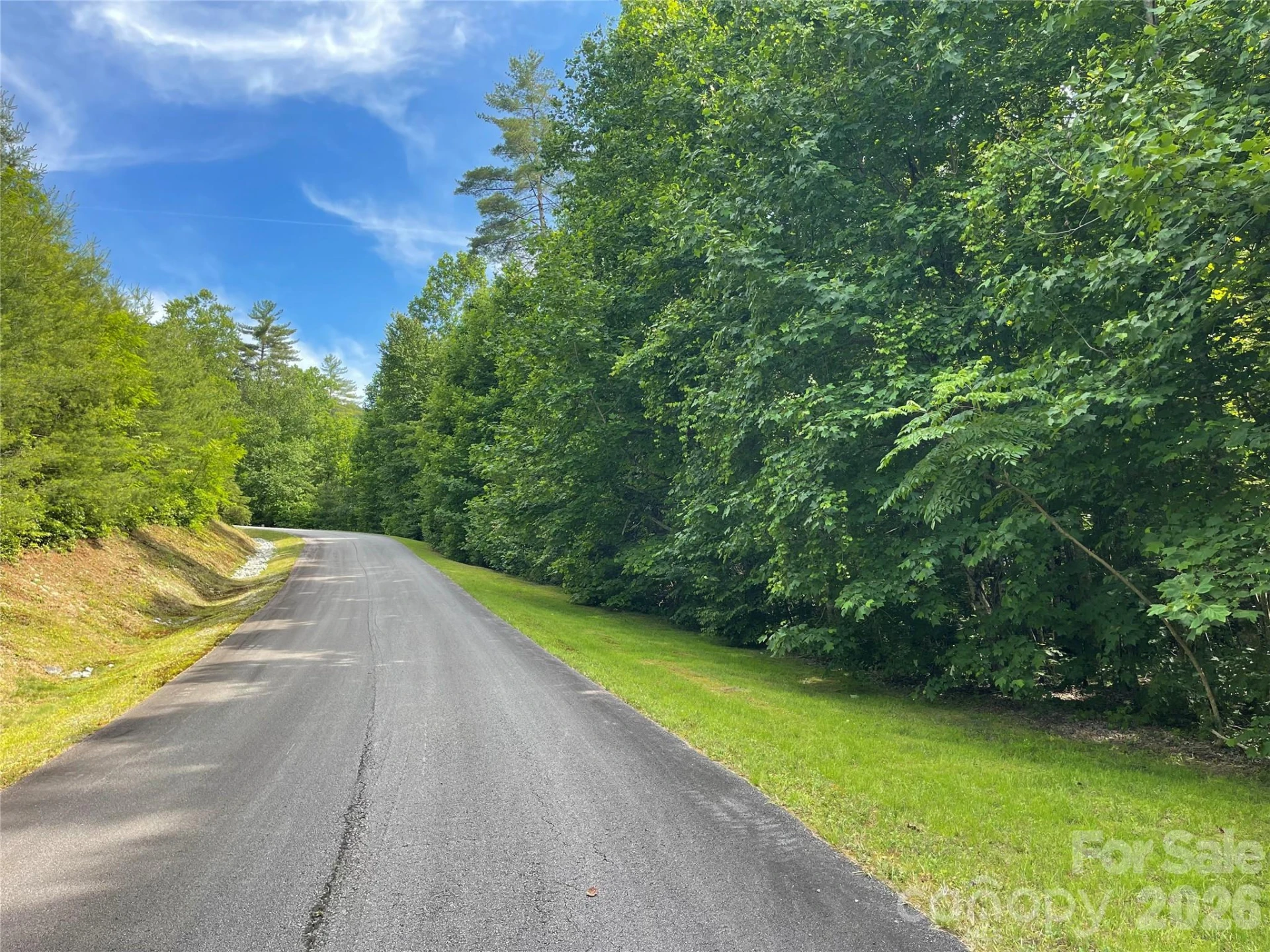 Lot 45 Abby Falls Drive - Photo 16