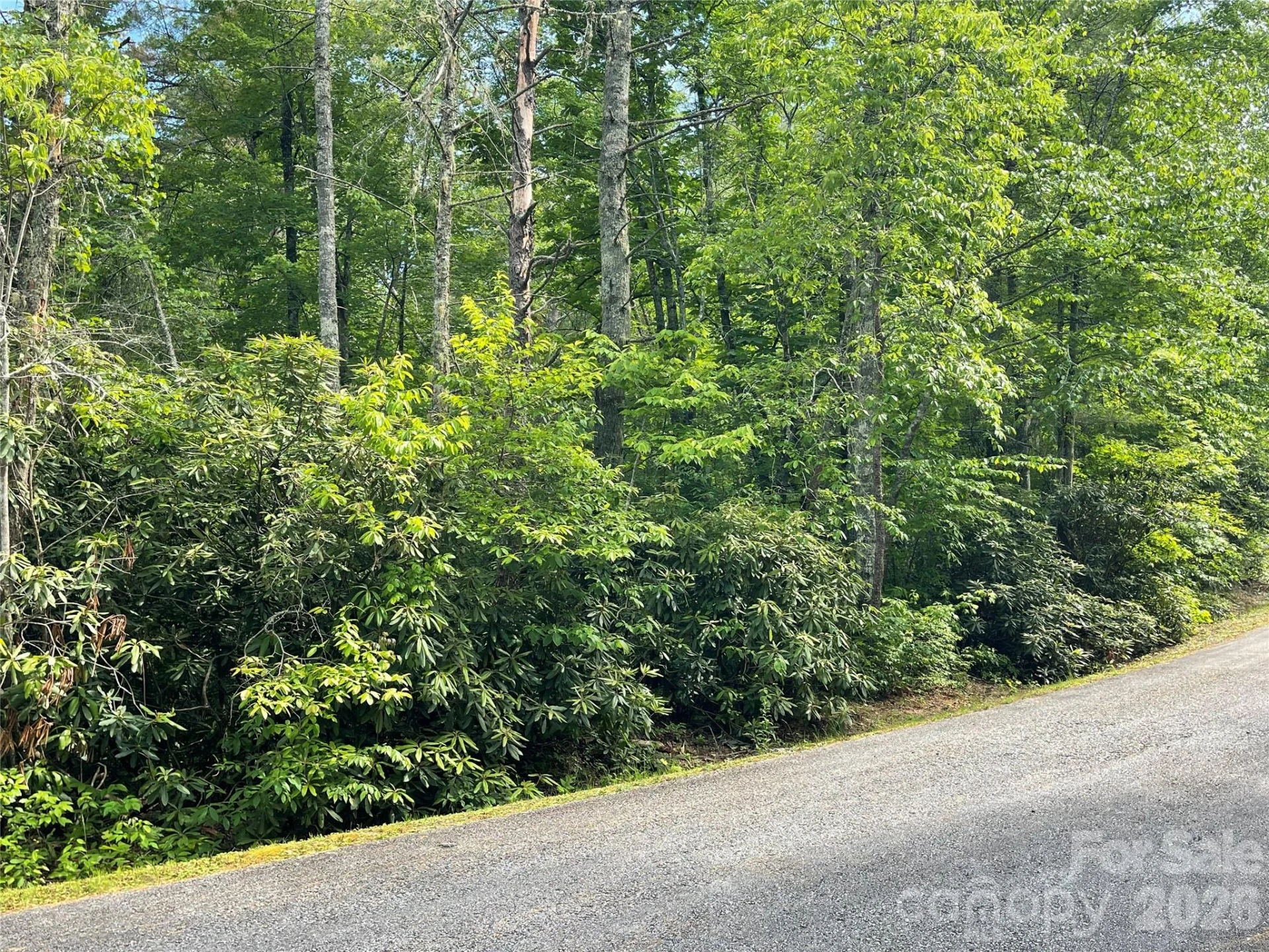 Lot 45 Abby Falls Drive - Photo 18
