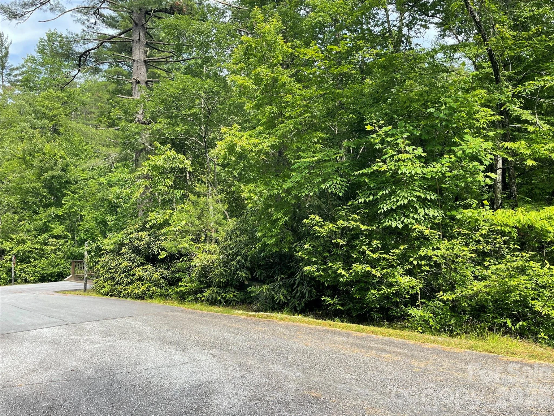 Lot 45 Abby Falls Drive - Photo 3