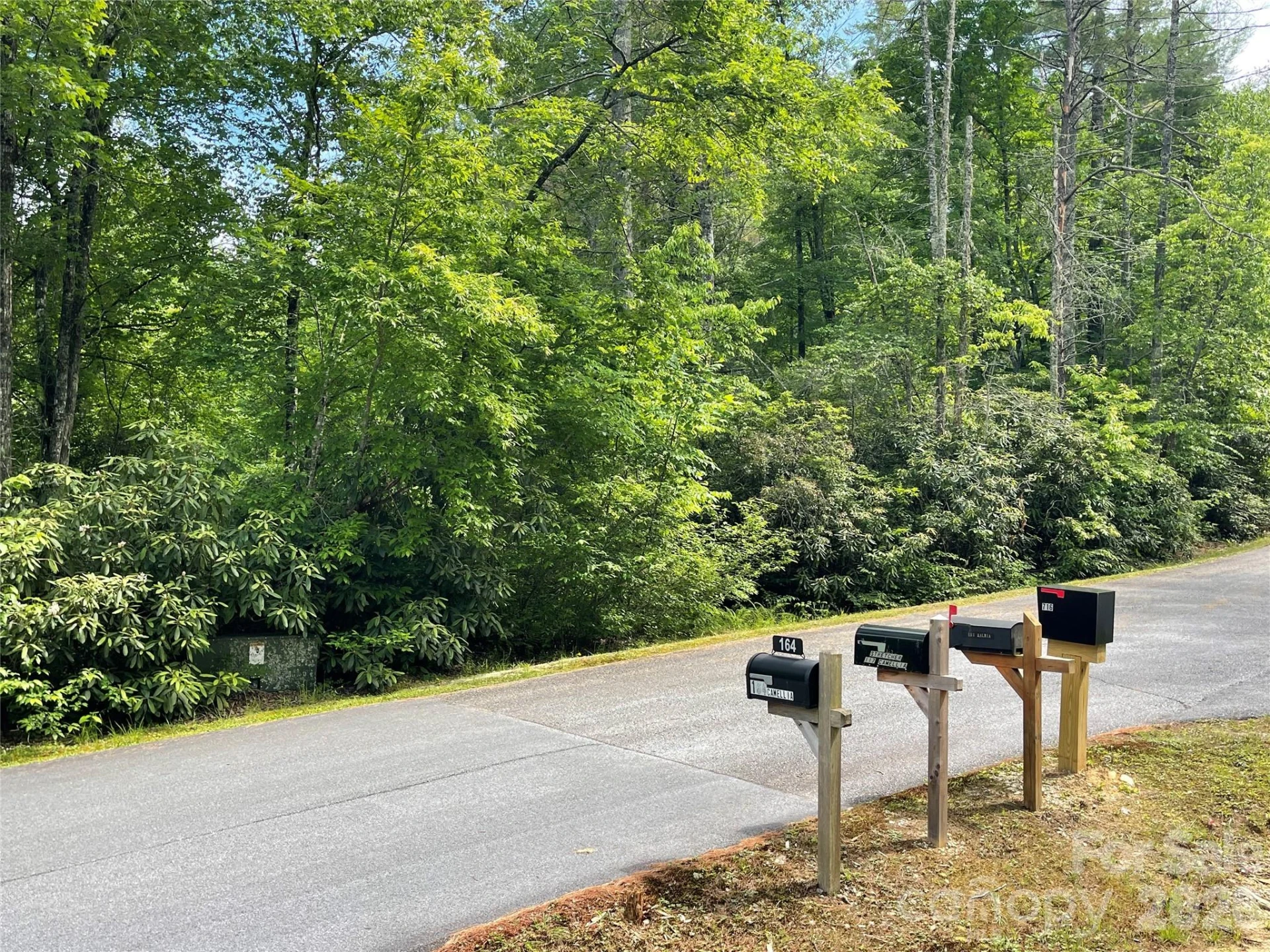 Lot 45 Abby Falls Drive - Photo 4