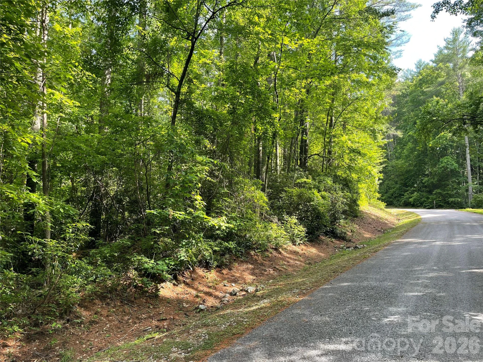 Lot 45 Abby Falls Drive - Photo 5