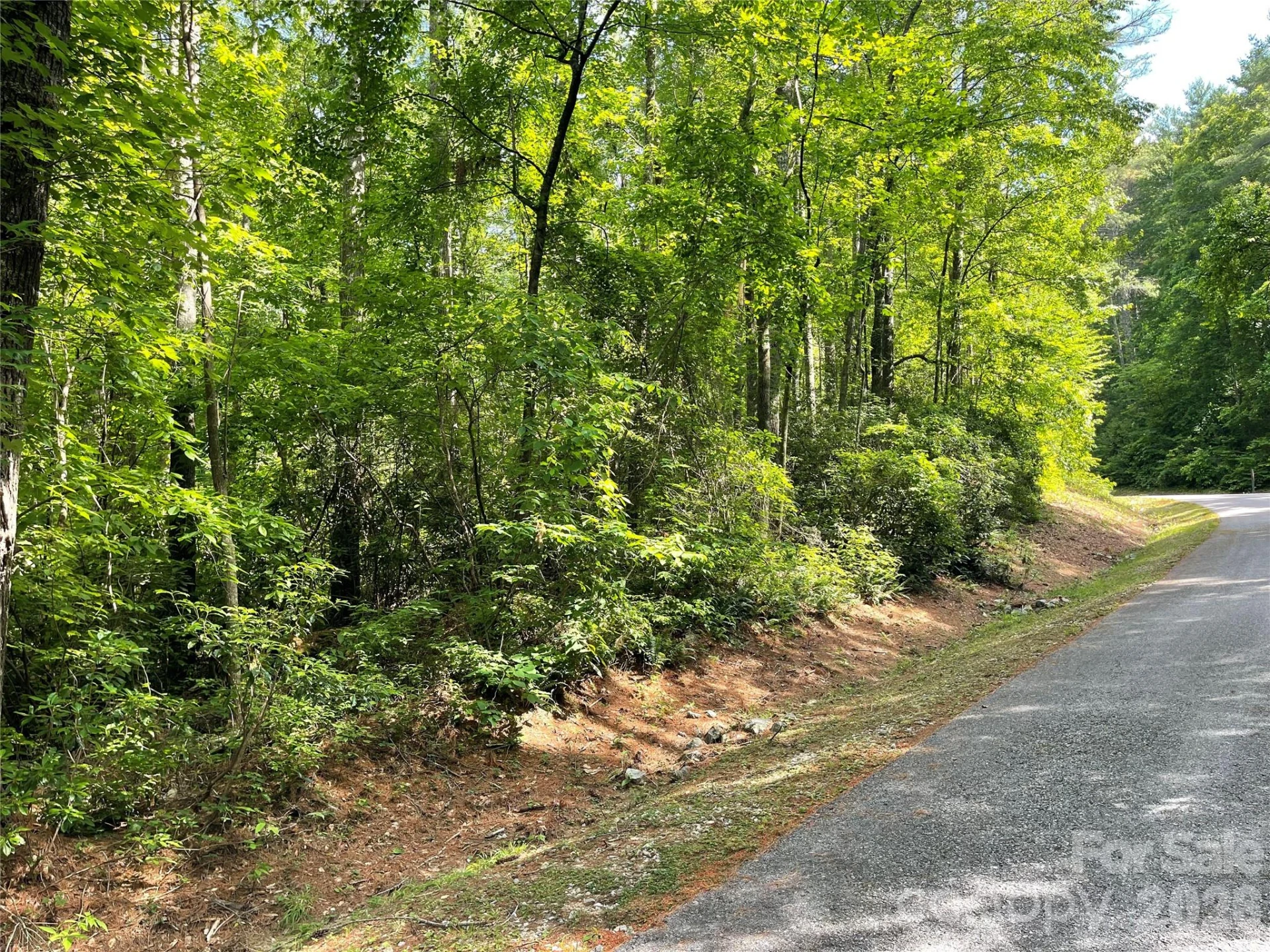 Lot 45 Abby Falls Drive - Photo 6