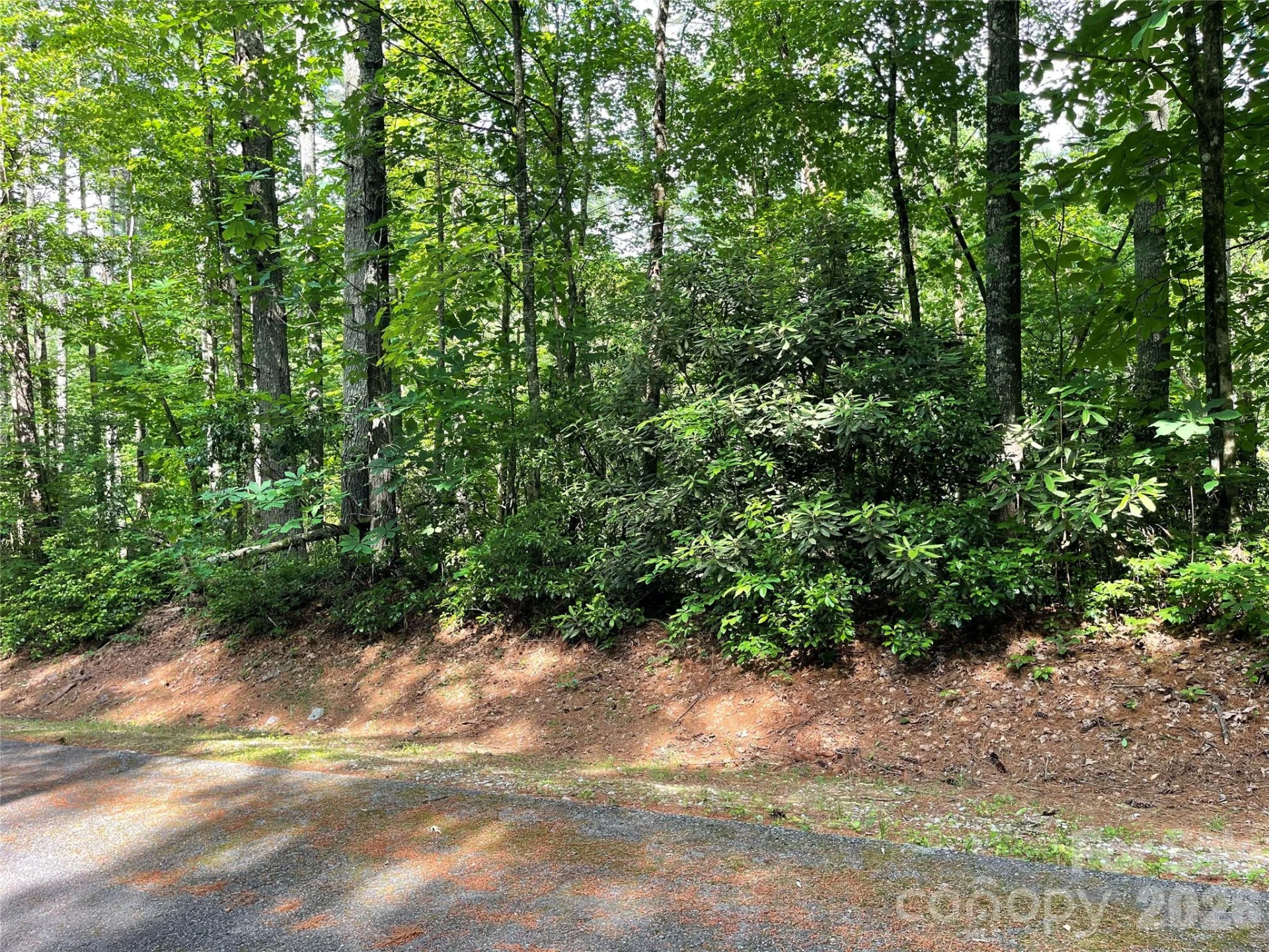 Lot 45 Abby Falls Drive - Photo 7