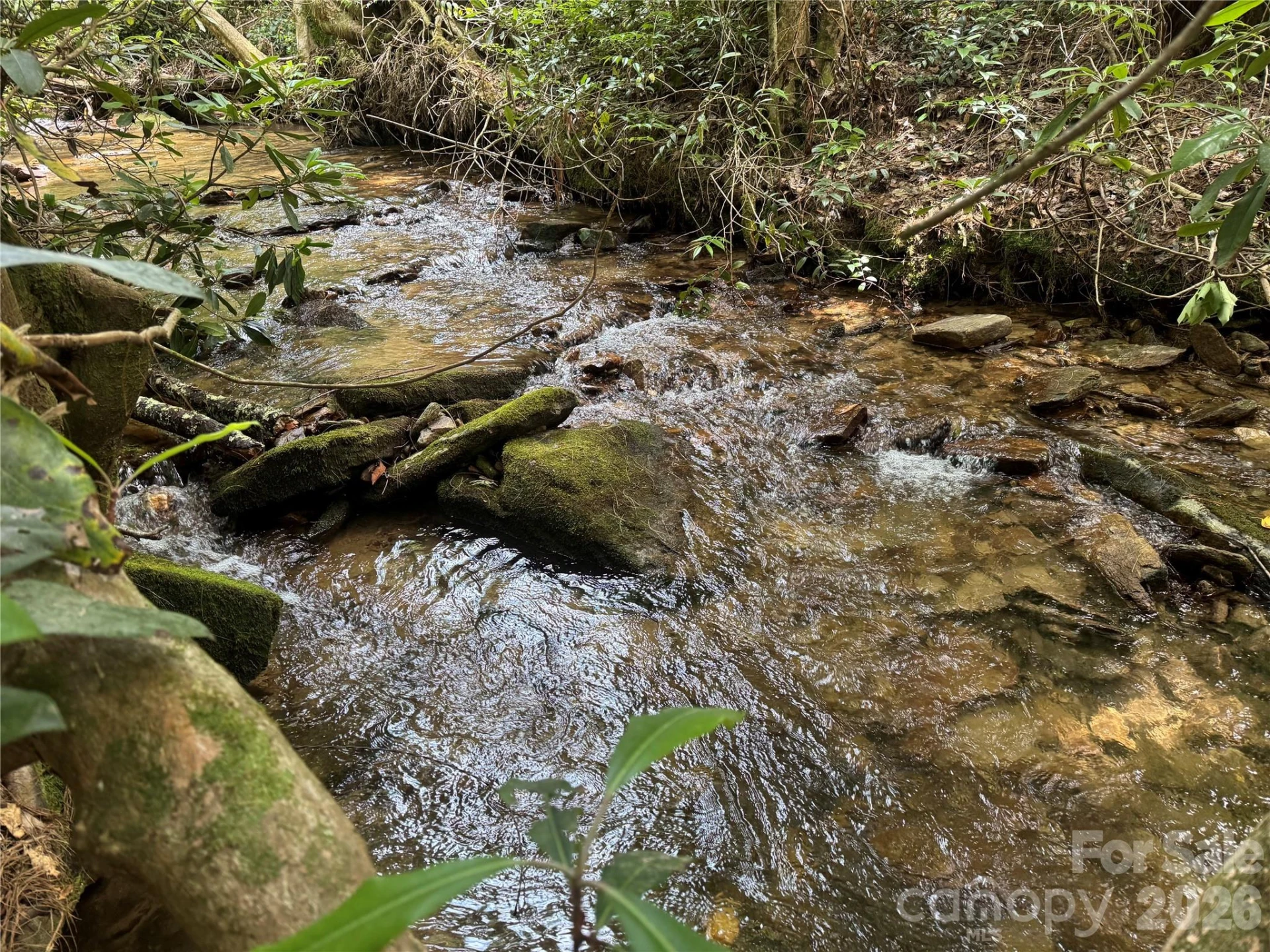 Lot 45 Abby Falls Drive - Photo 8