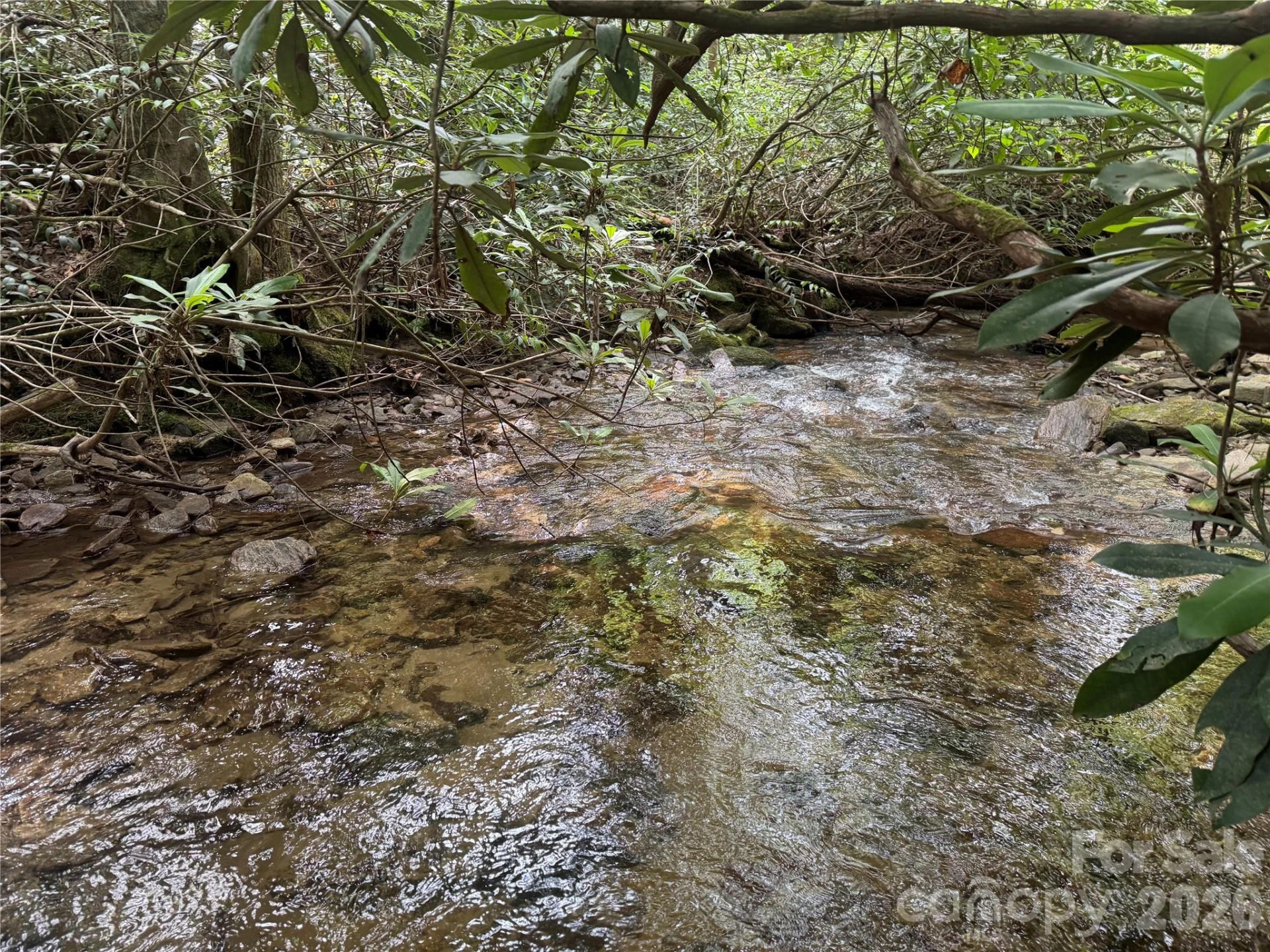 Lot 45 Abby Falls Drive - Photo 9