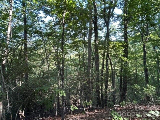 138 Settlers View - Photo 15