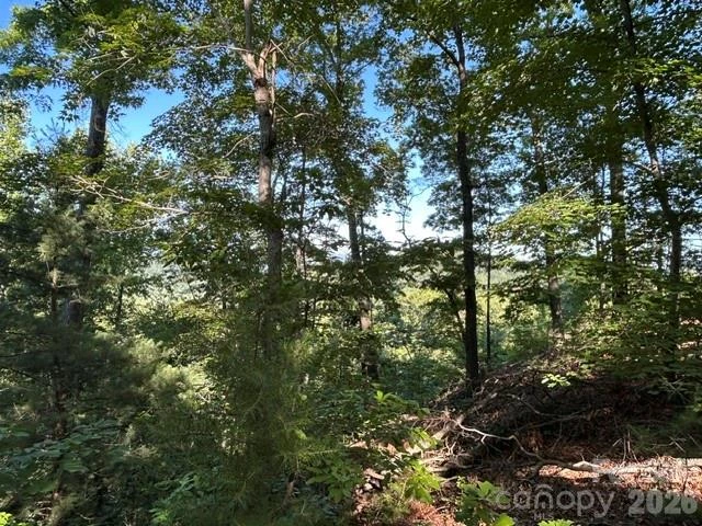 138 Settlers View - Photo 35