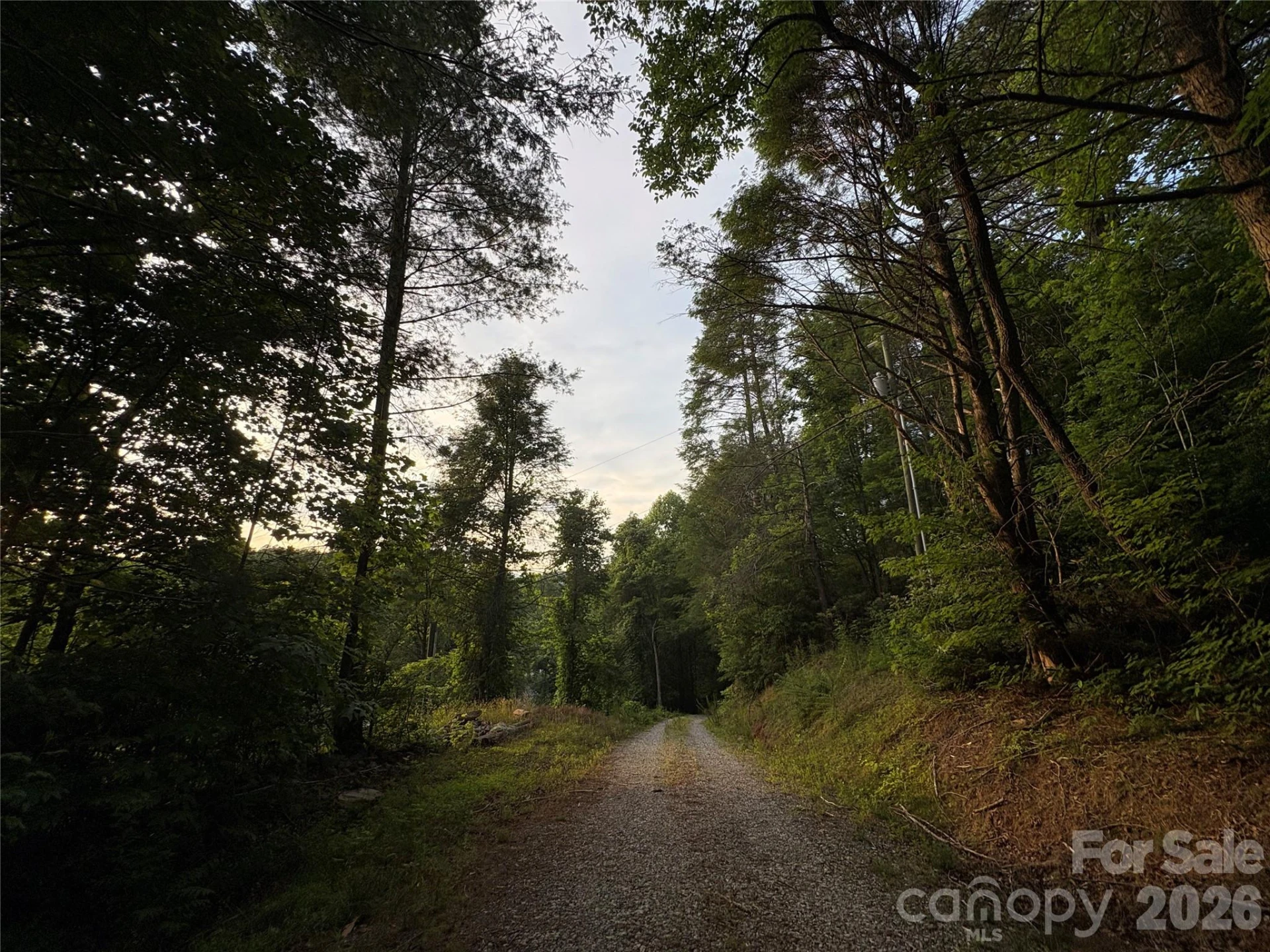 4733 Bat Cave Road - Photo 11