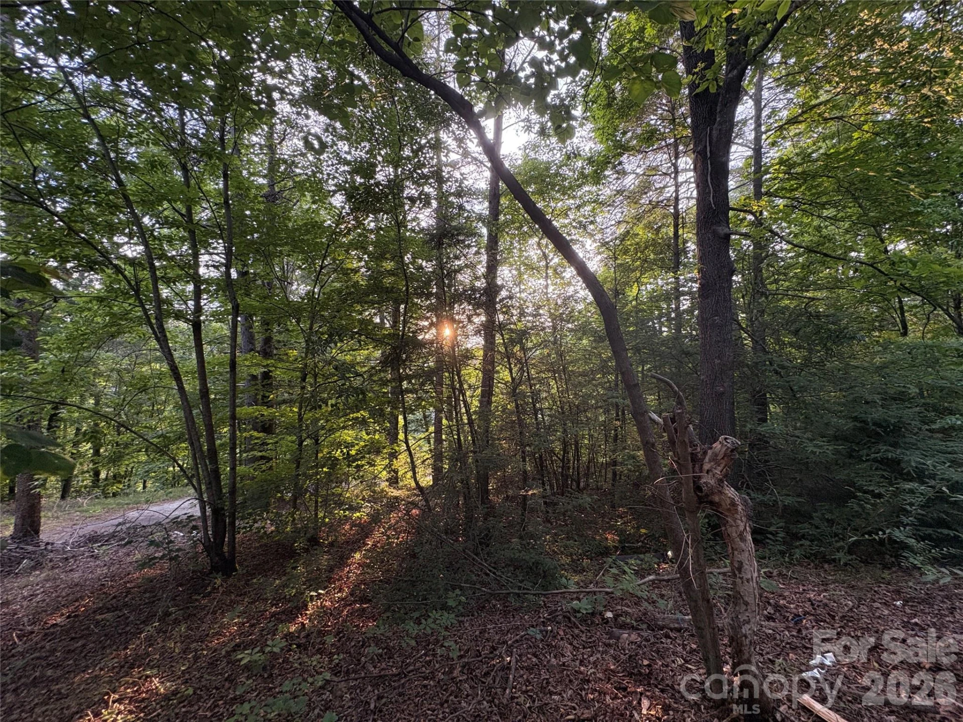 4733 Bat Cave Road - Photo 12