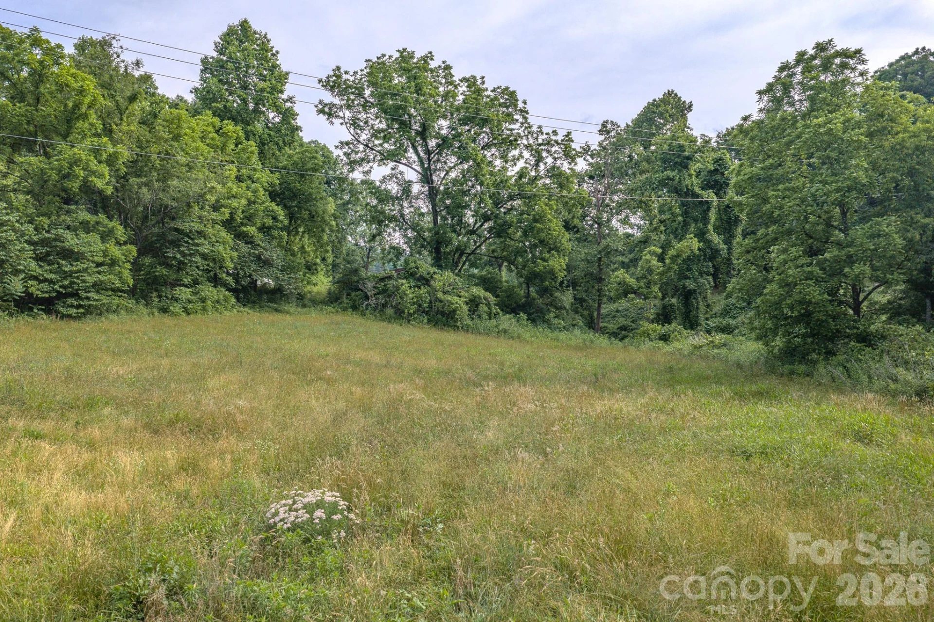 4733 Bat Cave Road - Photo 4