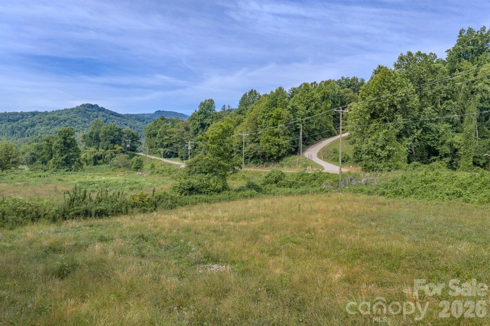 4733 Bat Cave Road - Photo 33