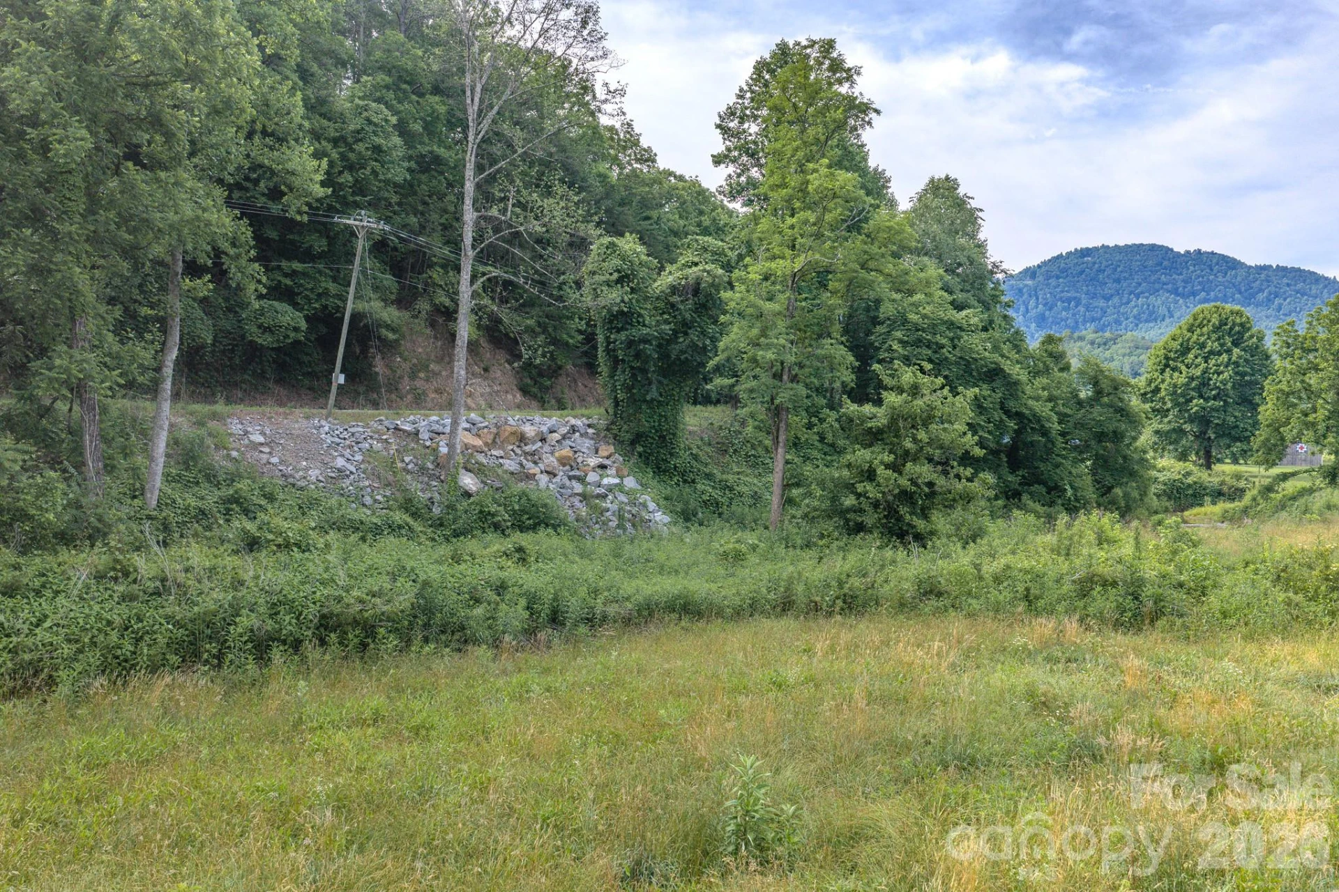 4733 Bat Cave Road - Photo 34