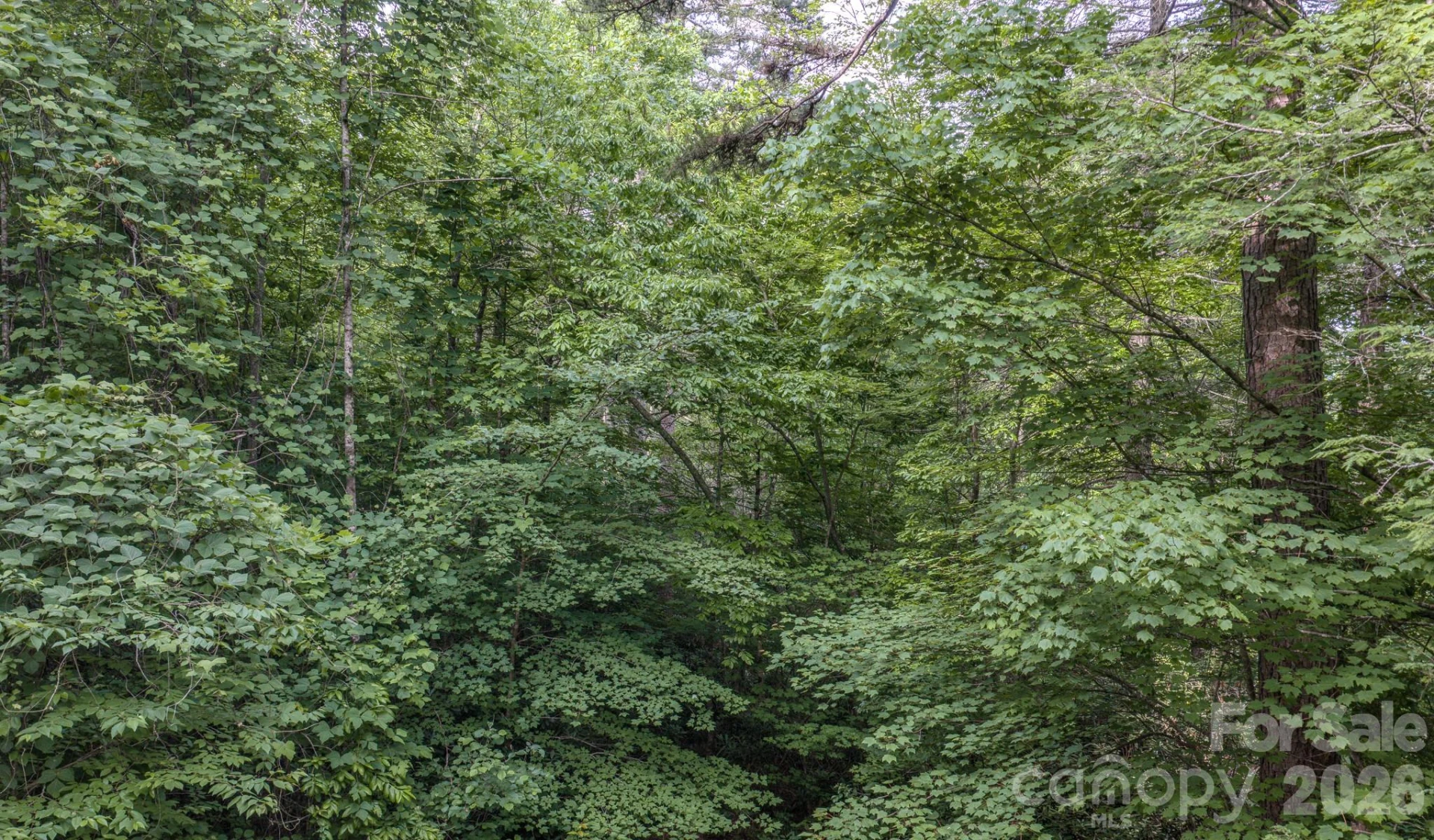 4733 Bat Cave Road - Photo 36
