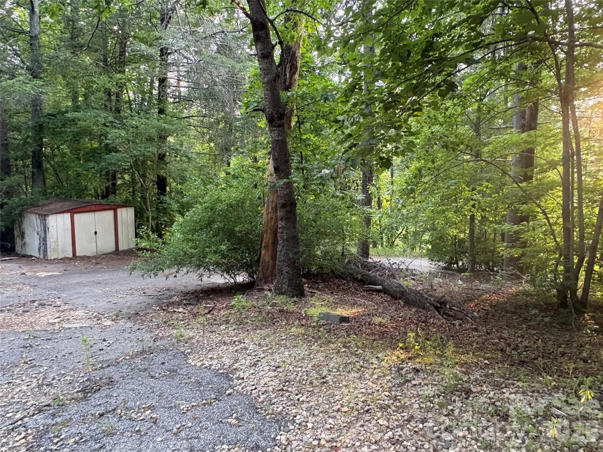 4733 Bat Cave Road - Photo 8