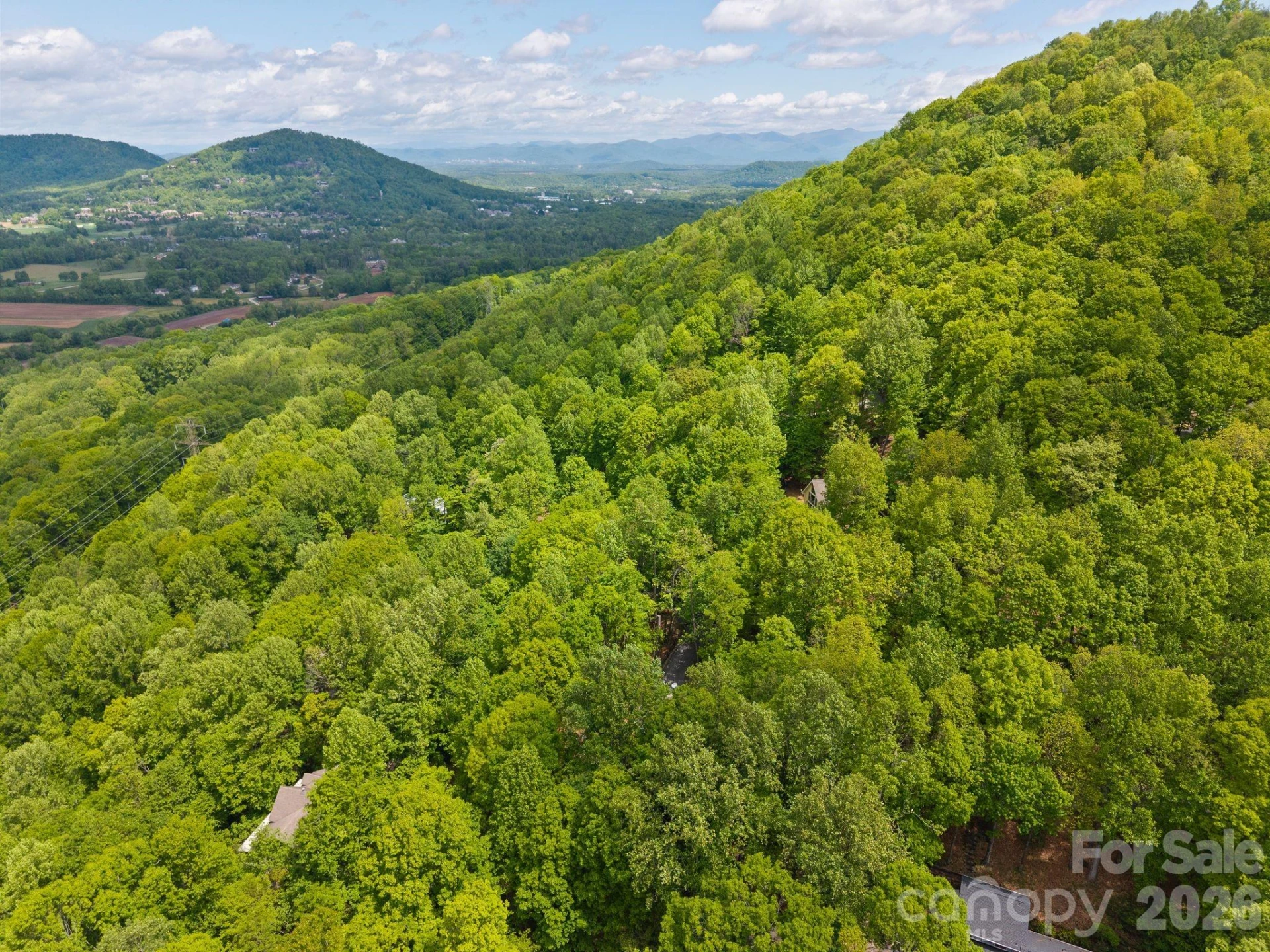 58 Sourwood Drive - Photo 43