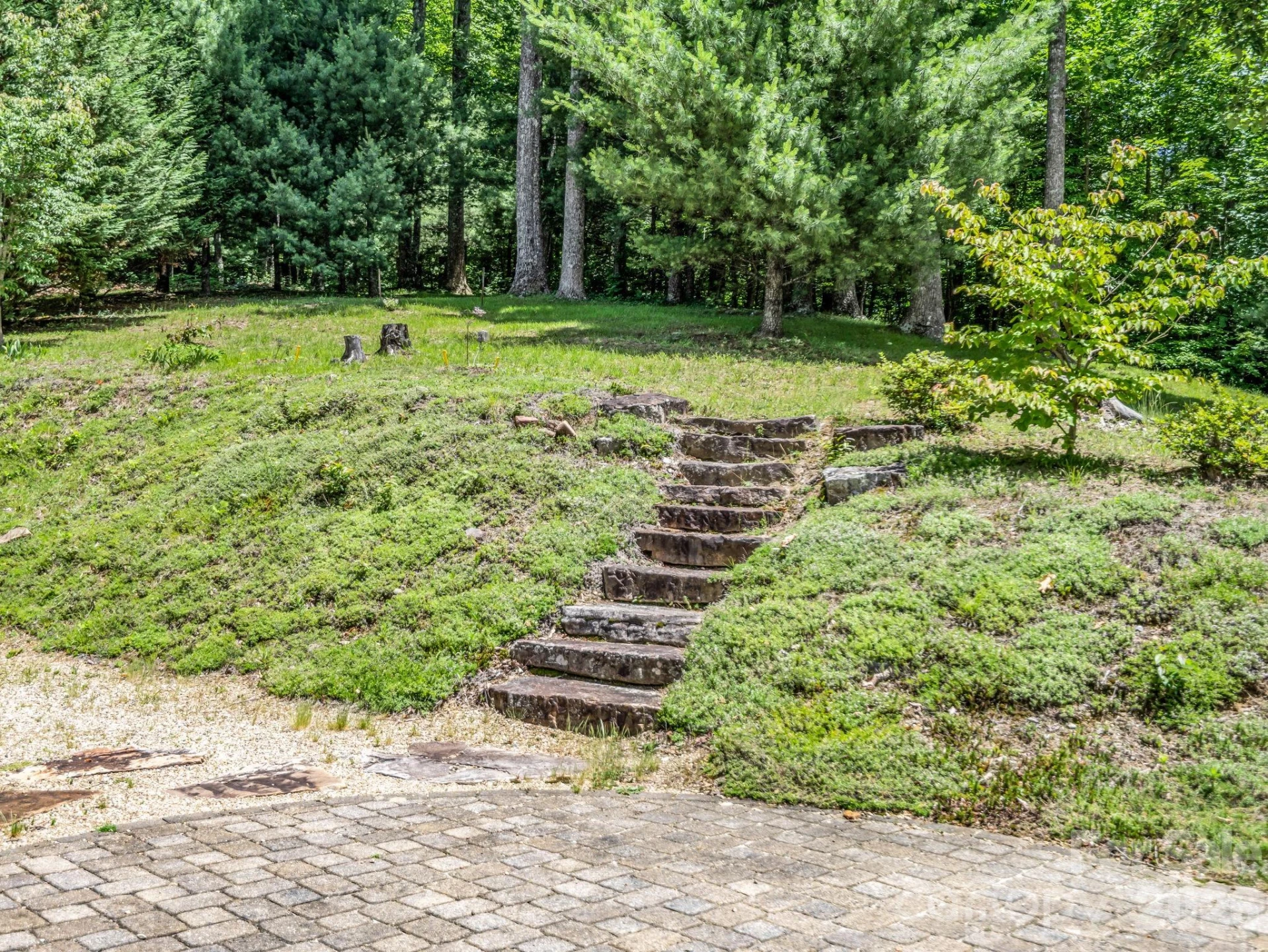 2255 Mount Olivet Road - Photo 37