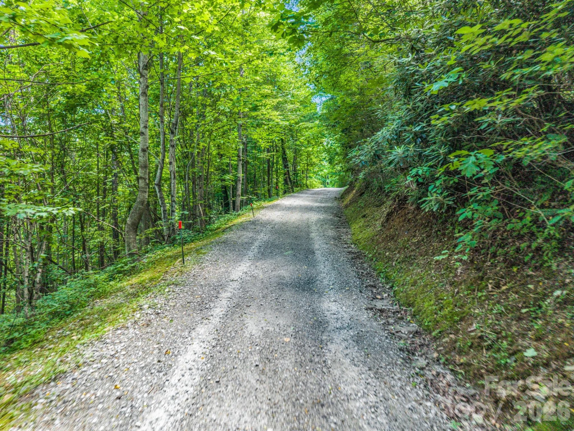 2255 Mount Olivet Road - Photo 41
