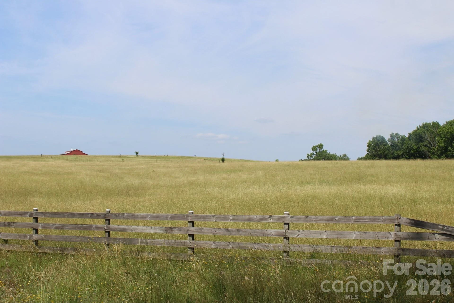 Lot 5 Ted Smith Road #5 - Photo 28