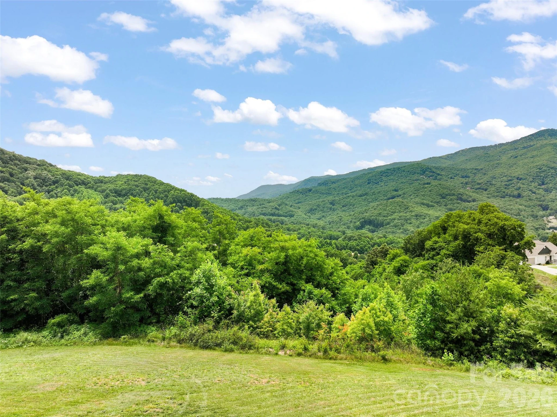50 Blossom Drive - Photo 12