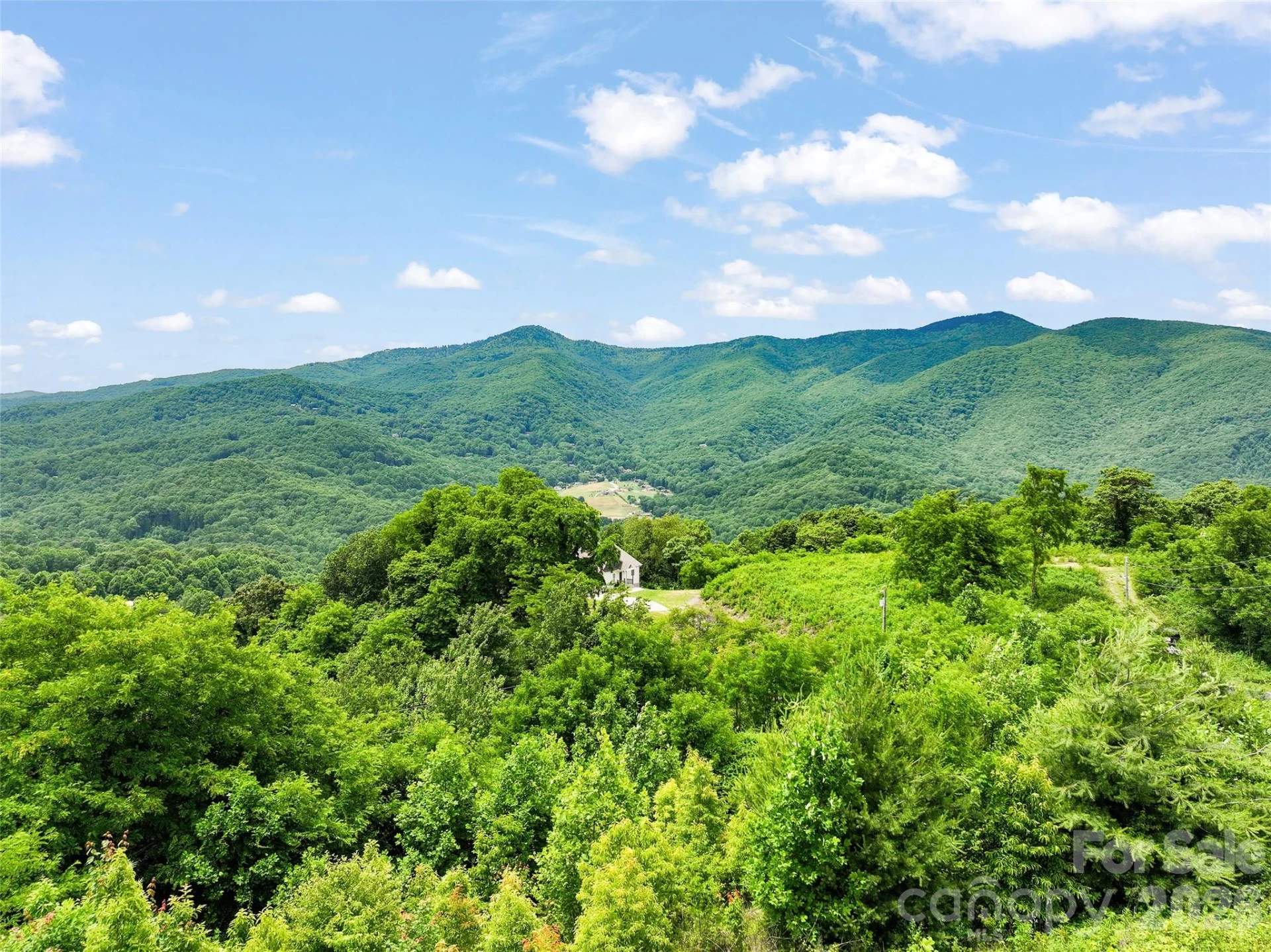 50 Blossom Drive - Photo 16