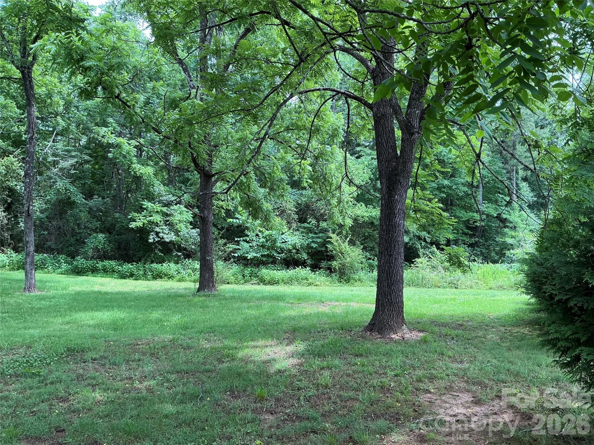 1199 Mcentire Road - Photo 10