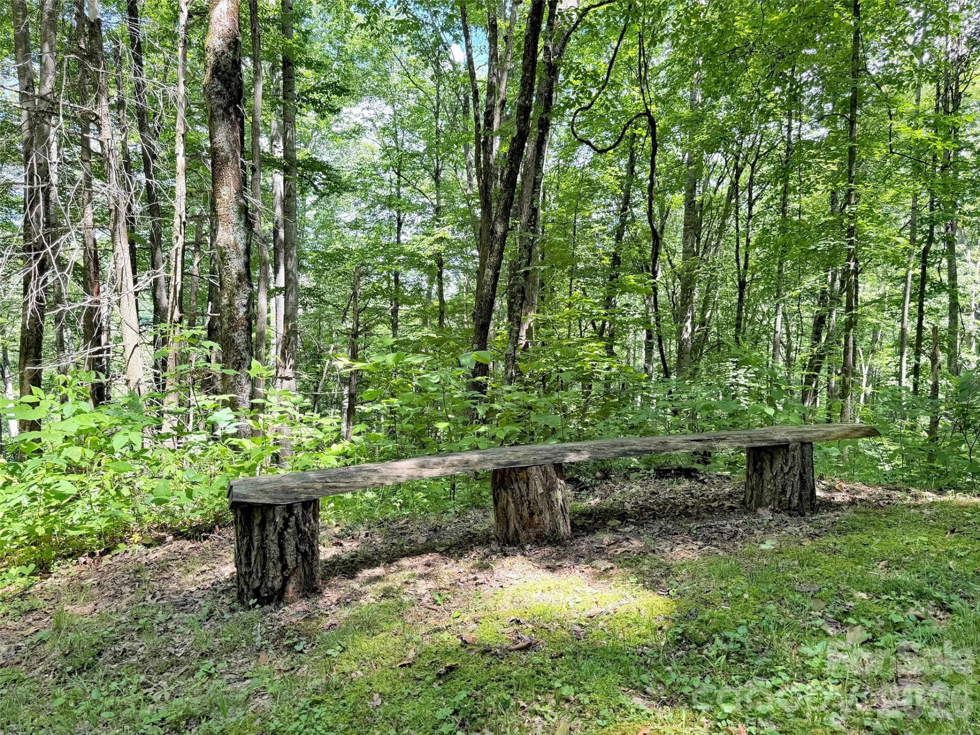 85 Lady Slipper Trail - Photo 43