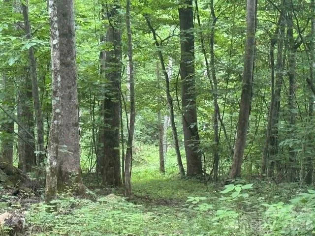 00 Sugar Loaf Mountain Road, Marshall, NC, 28753