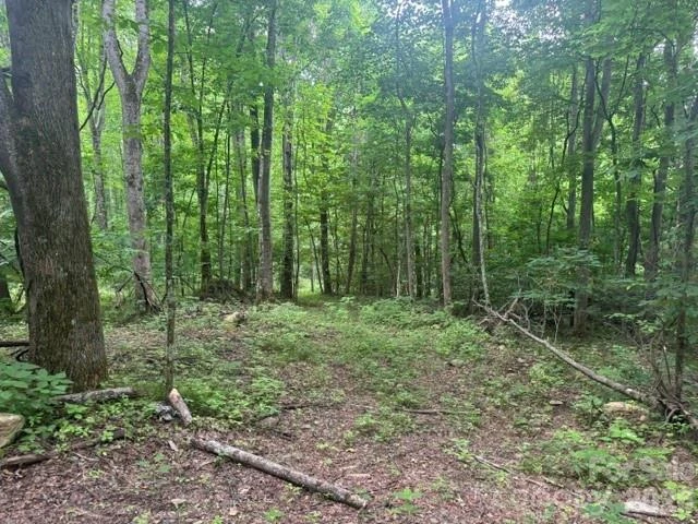 00 Sugar Loaf Mountain Road - Photo 2