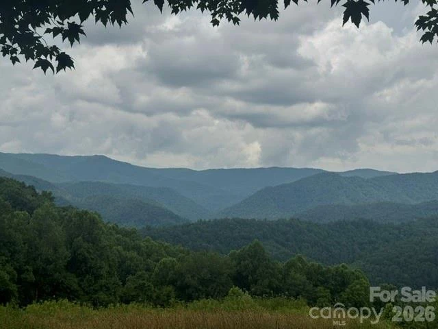 00 Sugar Loaf Mountain Road - Photo 3