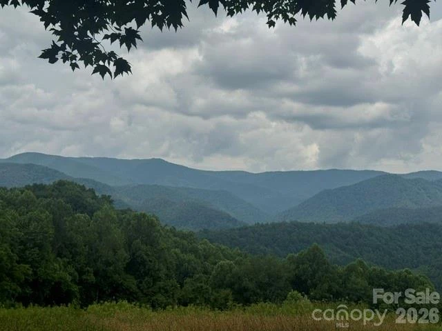 00 Sugar Loaf Mountain Road - Photo 4