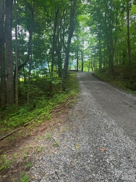00 Sugar Loaf Mountain Road - Photo 5