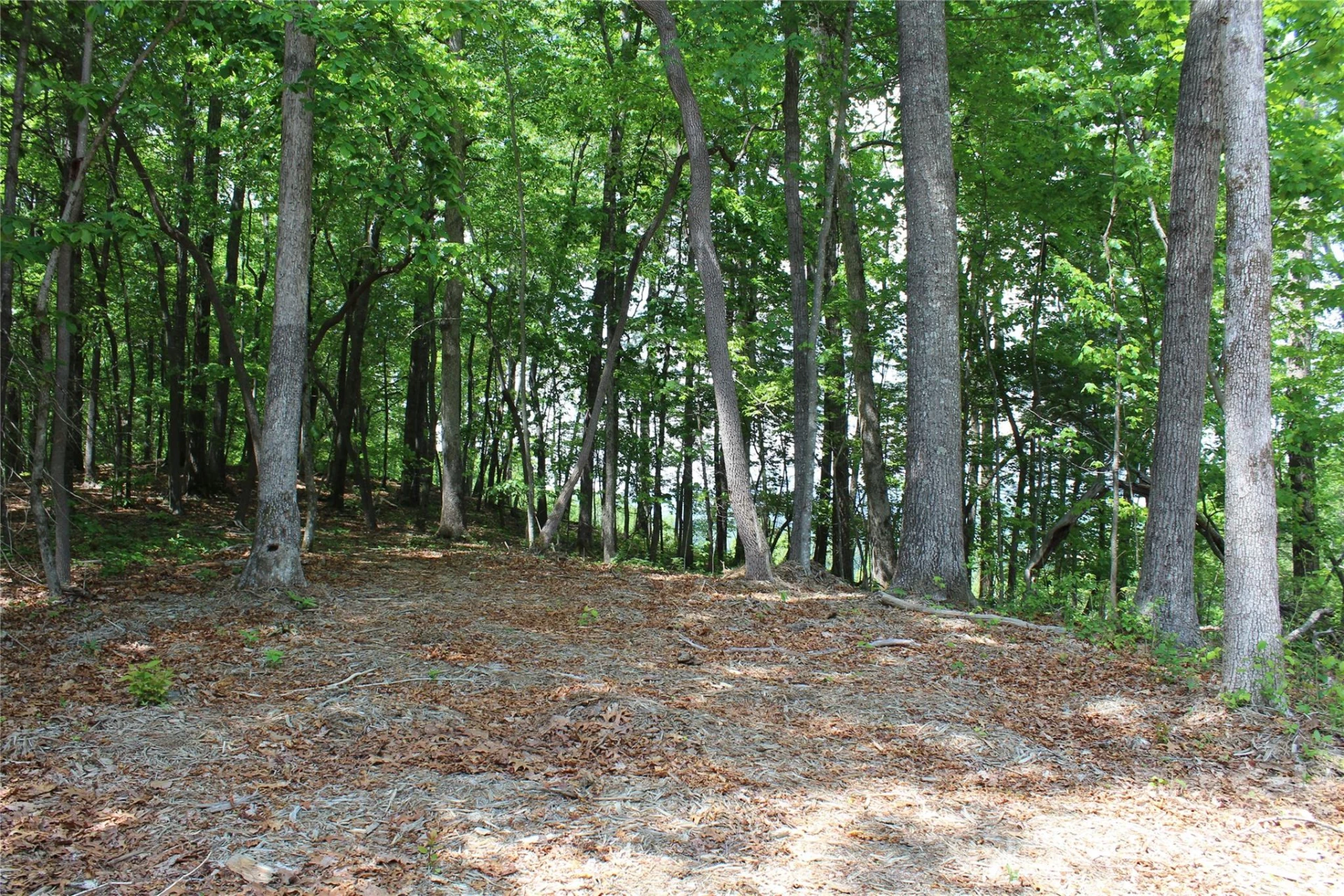 000 Northview Drive #12 - Photo 2