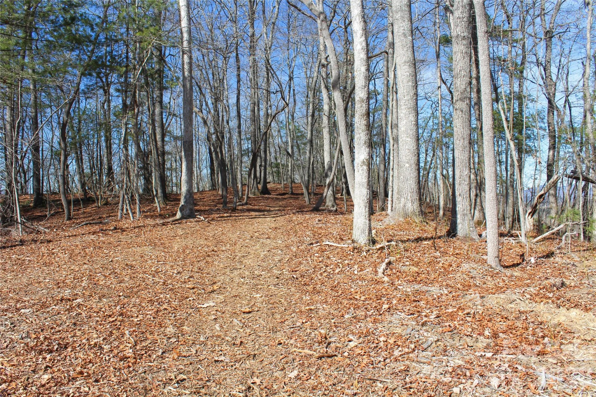 000 Northview Drive #12 - Photo 3