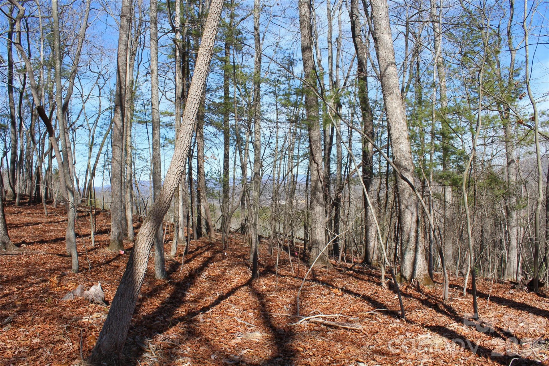 000 Northview Drive #12 - Photo 4