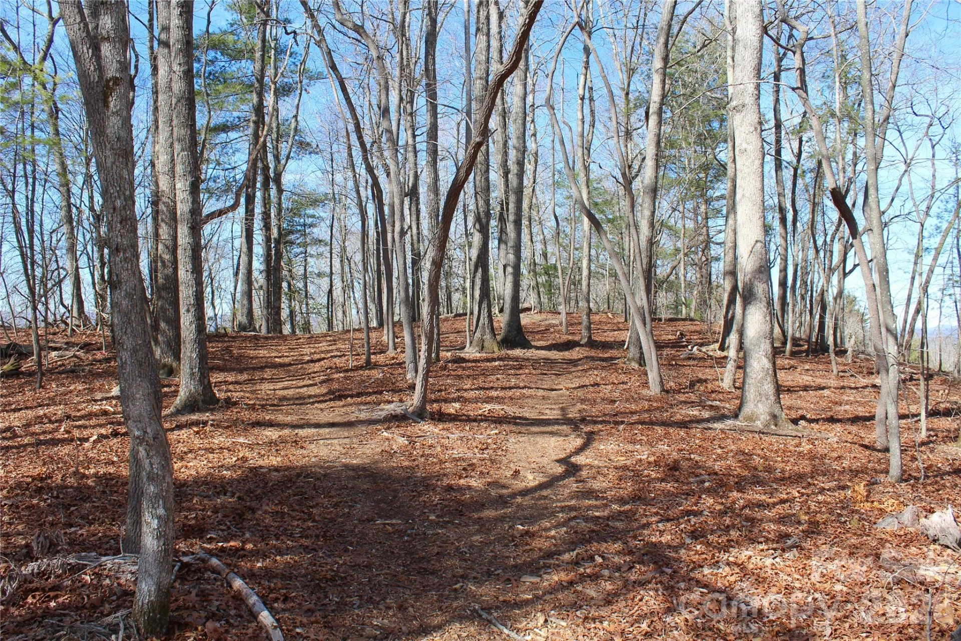 000 Northview Drive #12 - Photo 5