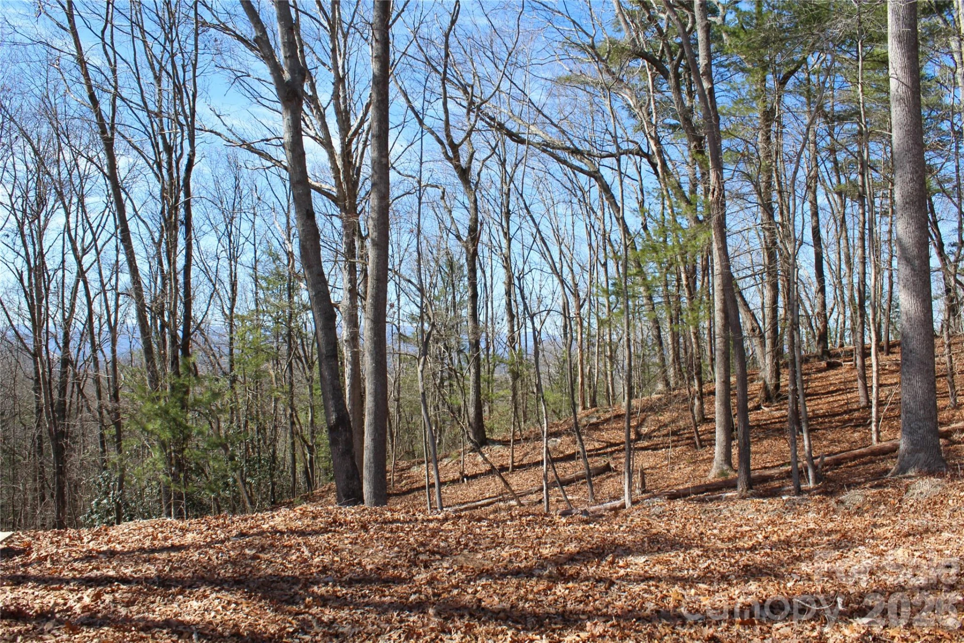 000 Northview Drive #13 - Photo 5