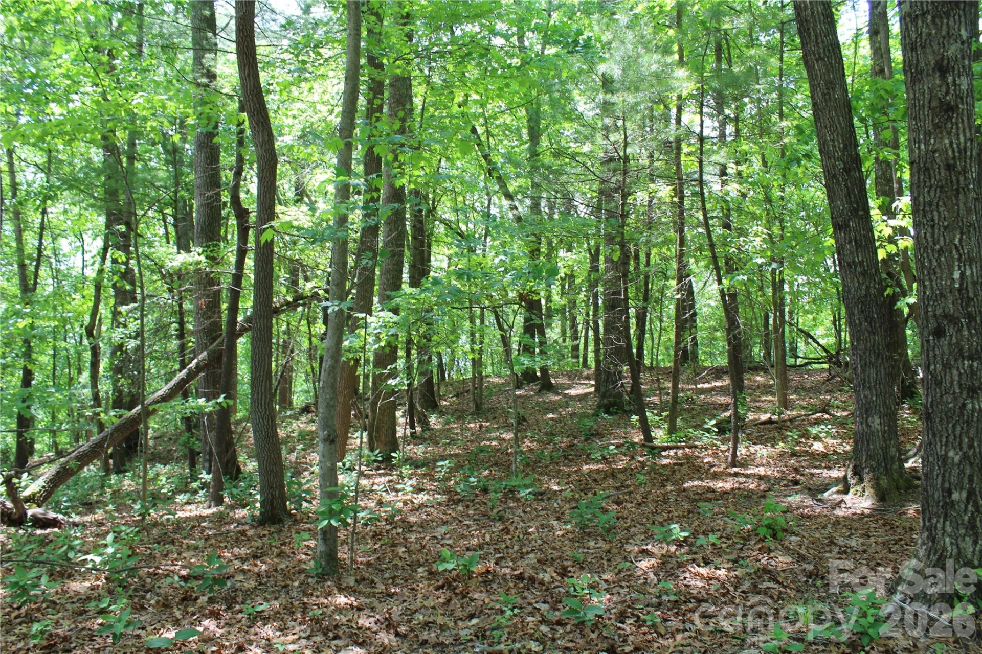 000 Northview Drive #13 - Photo 7