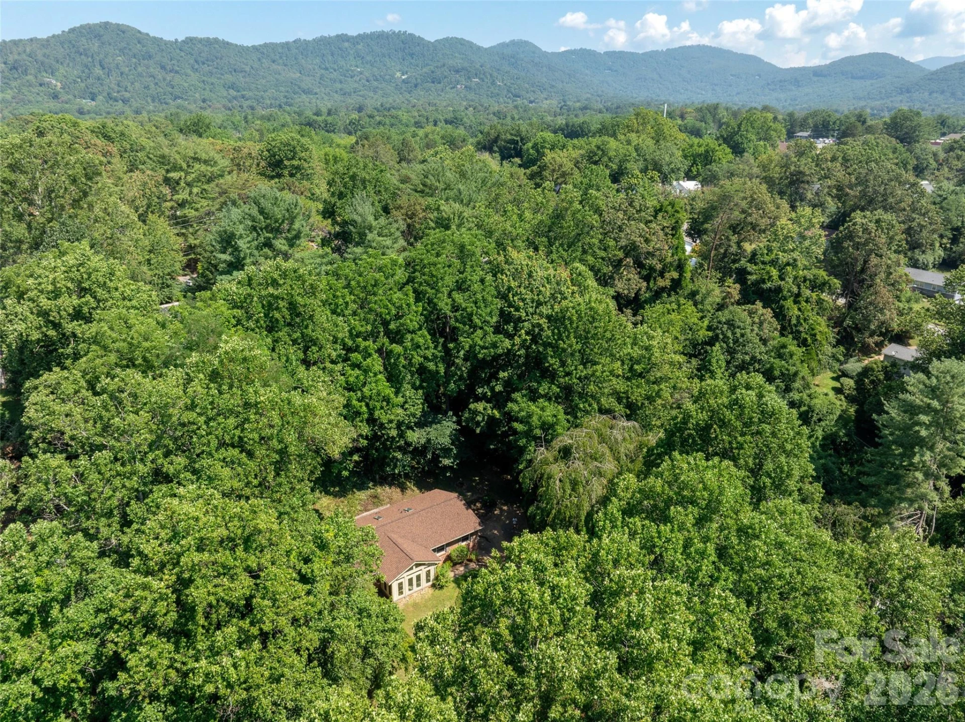 41 Pinehurst Road - Photo 41
