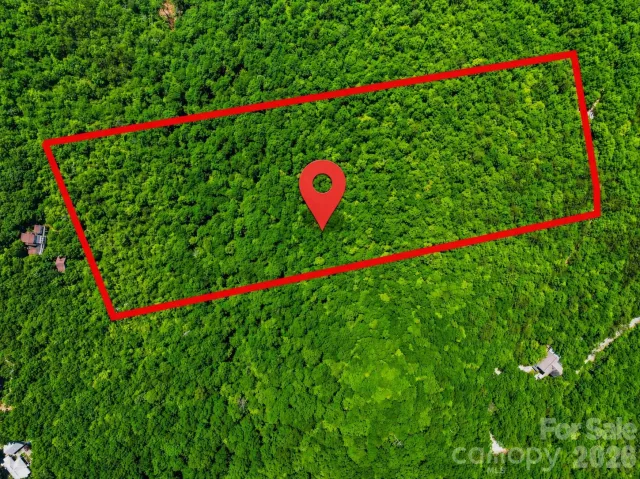 999 Miller Cove Road, Black Mountain, NC, 28711