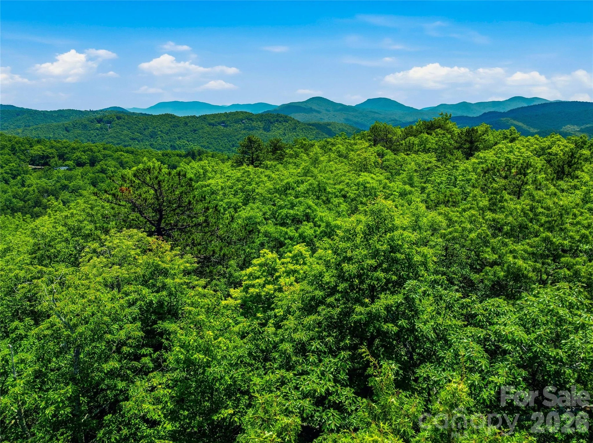 999 Miller Cove Road - Photo 11