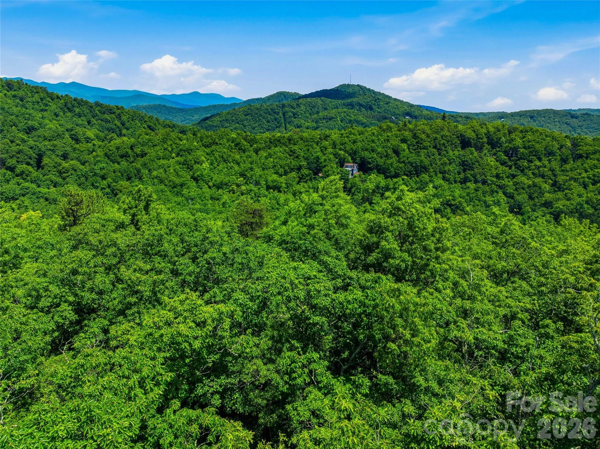 999 Miller Cove Road - Photo 13