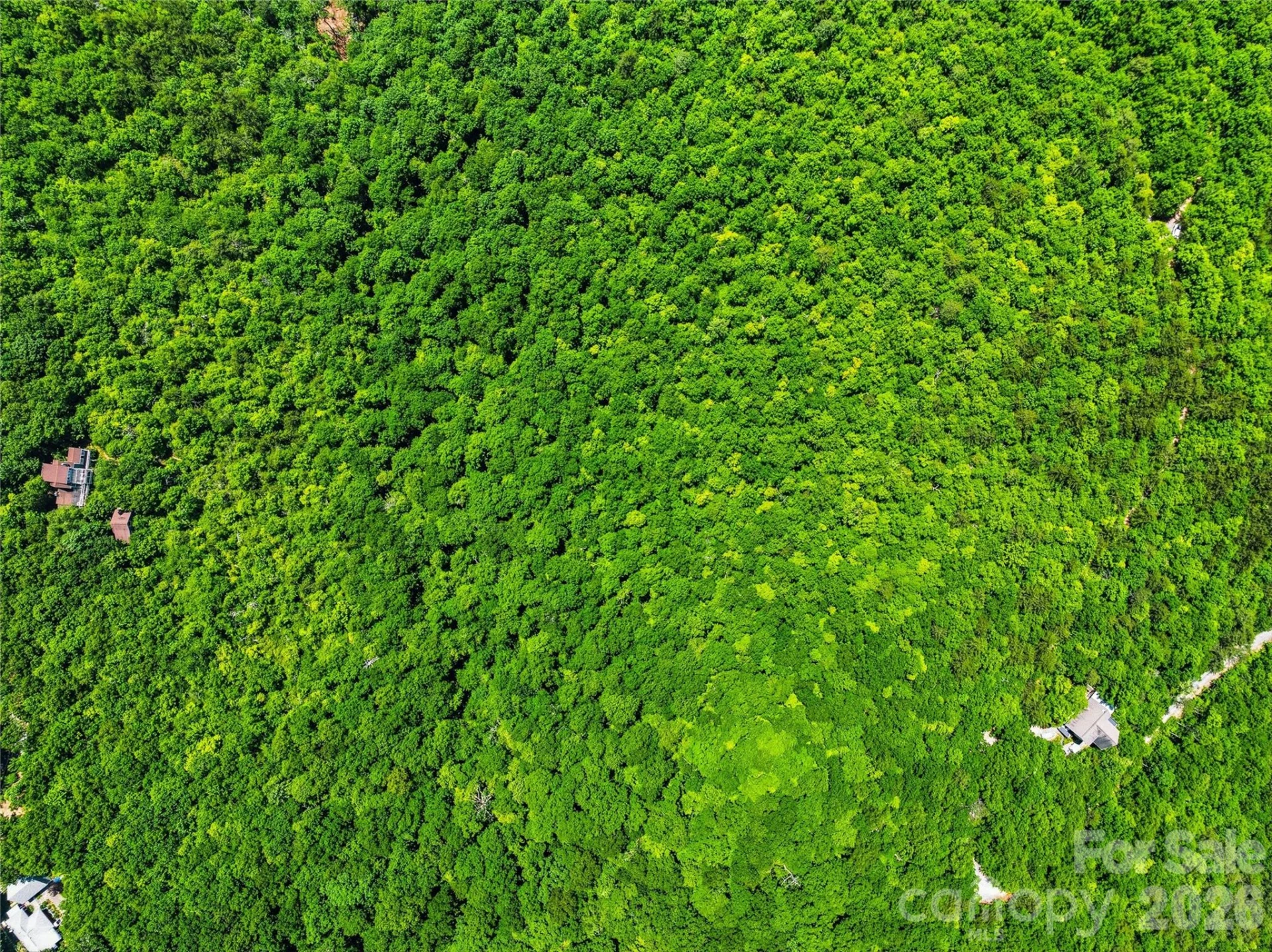 999 Miller Cove Road - Photo 6