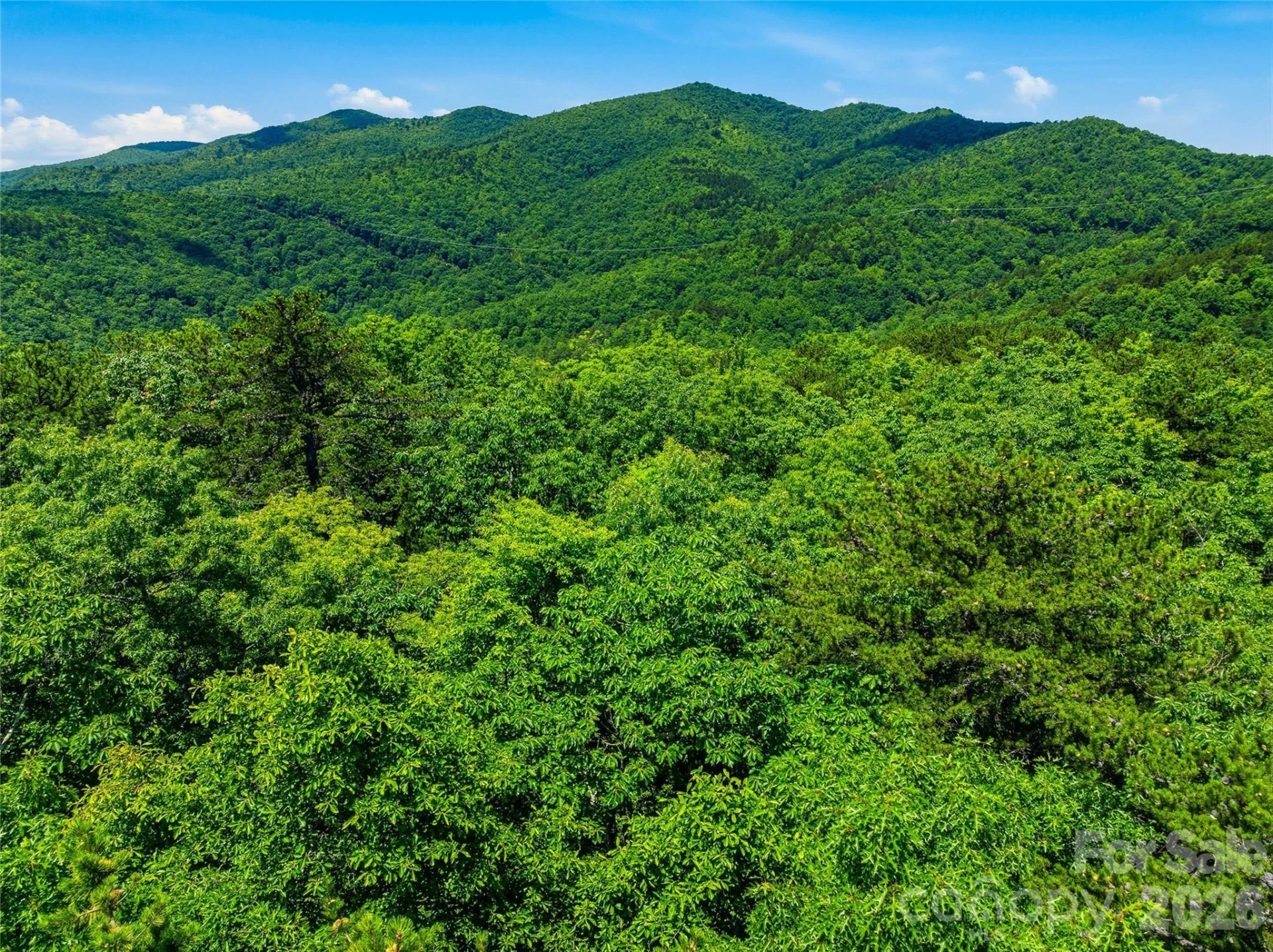 999 Miller Cove Road - Photo 7