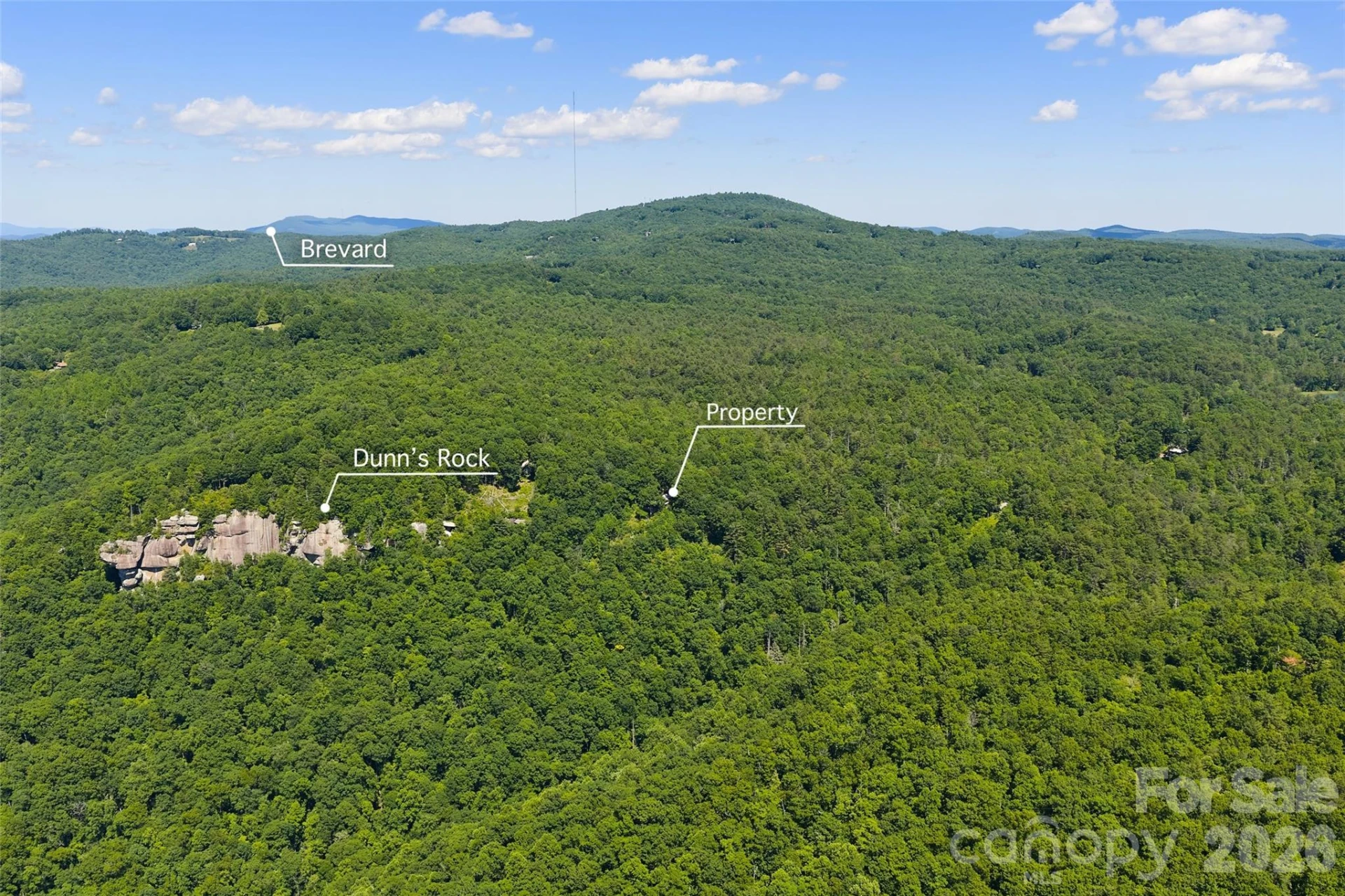 911 Green Hill Road - Photo 46