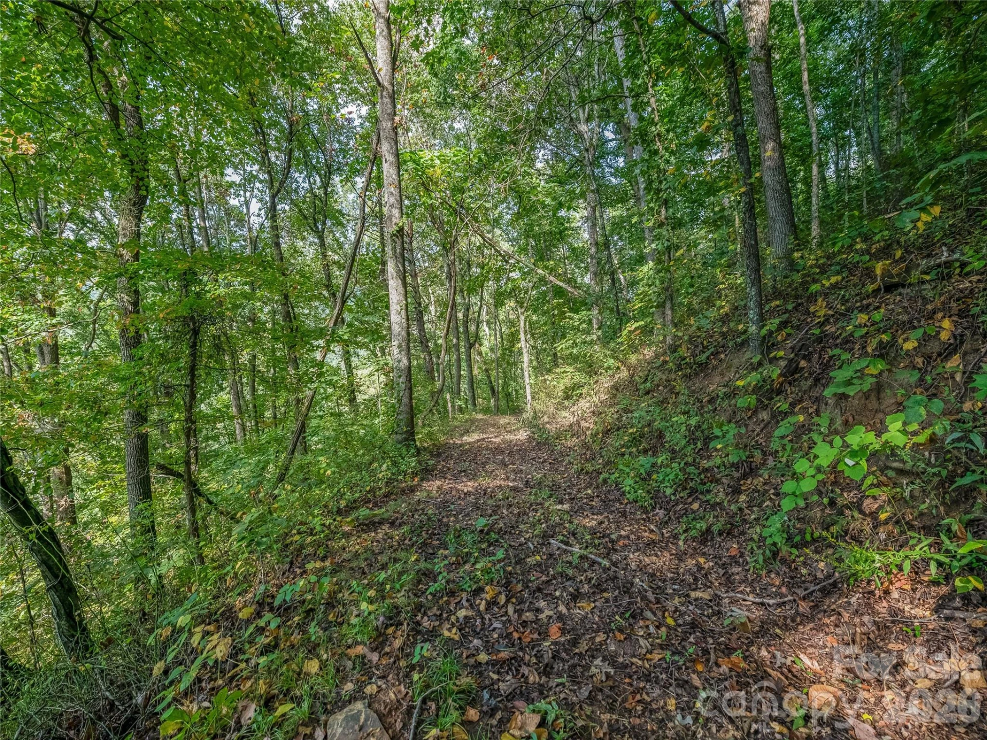 10 Beaverbrook Court - Photo 44