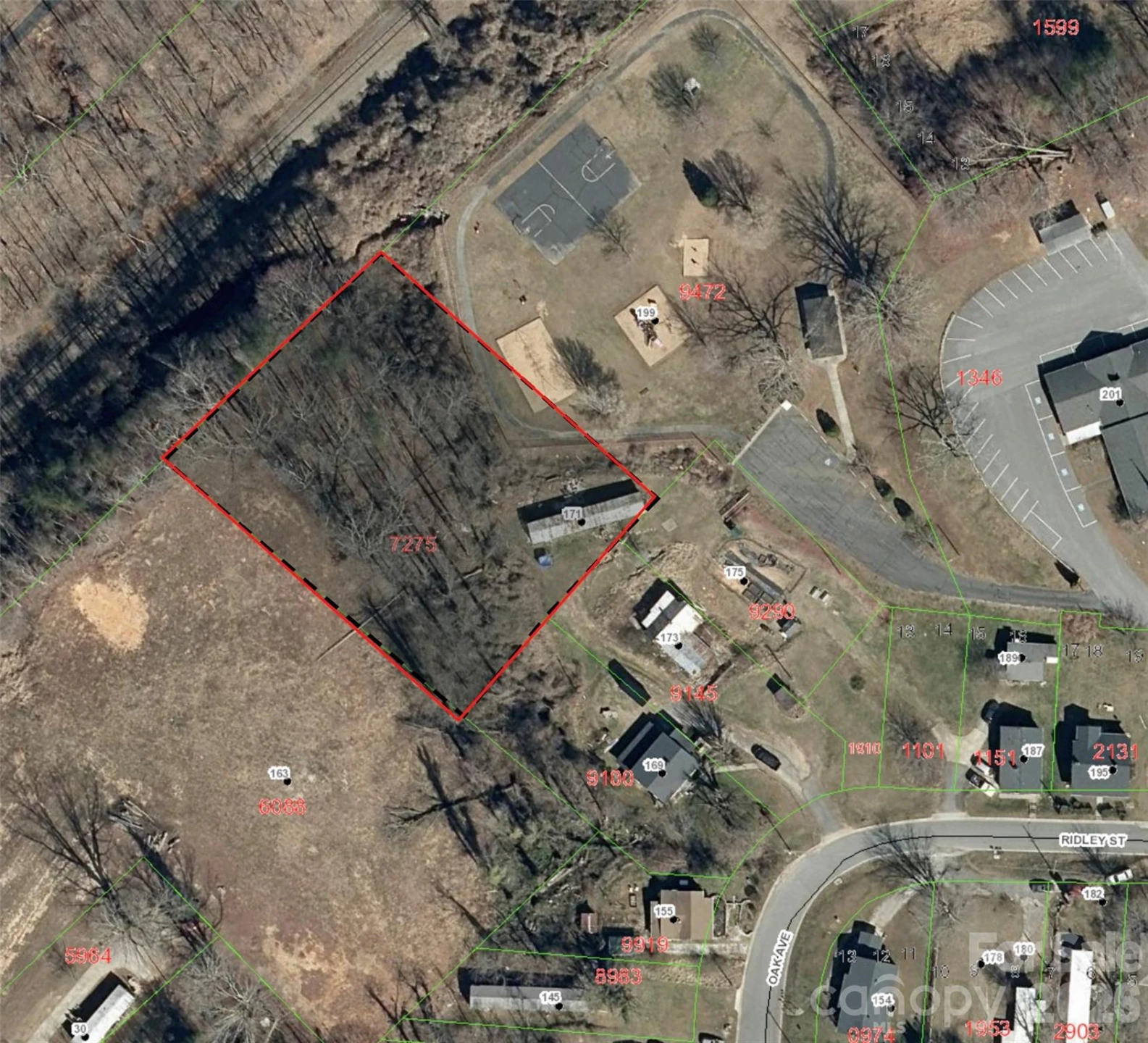 171 Ridley Street - Photo 12