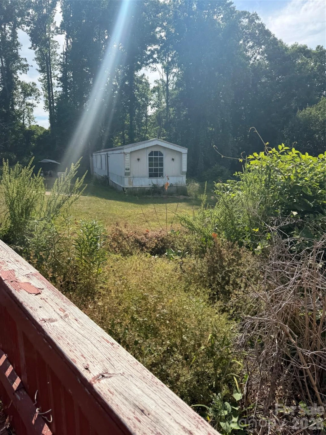 171 Ridley Street - Photo 4