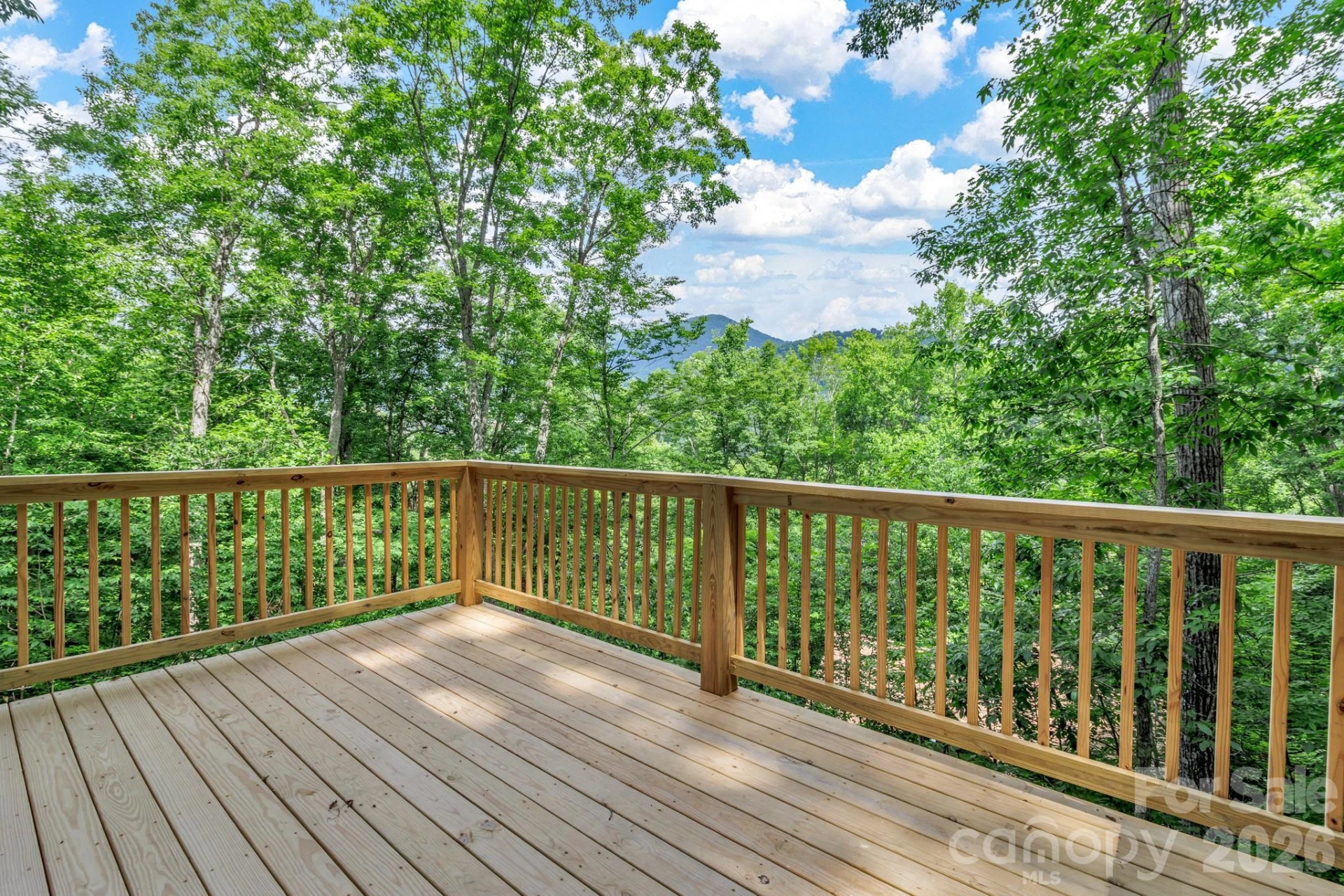 50 Sleeping Bear Ridge - Photo 30
