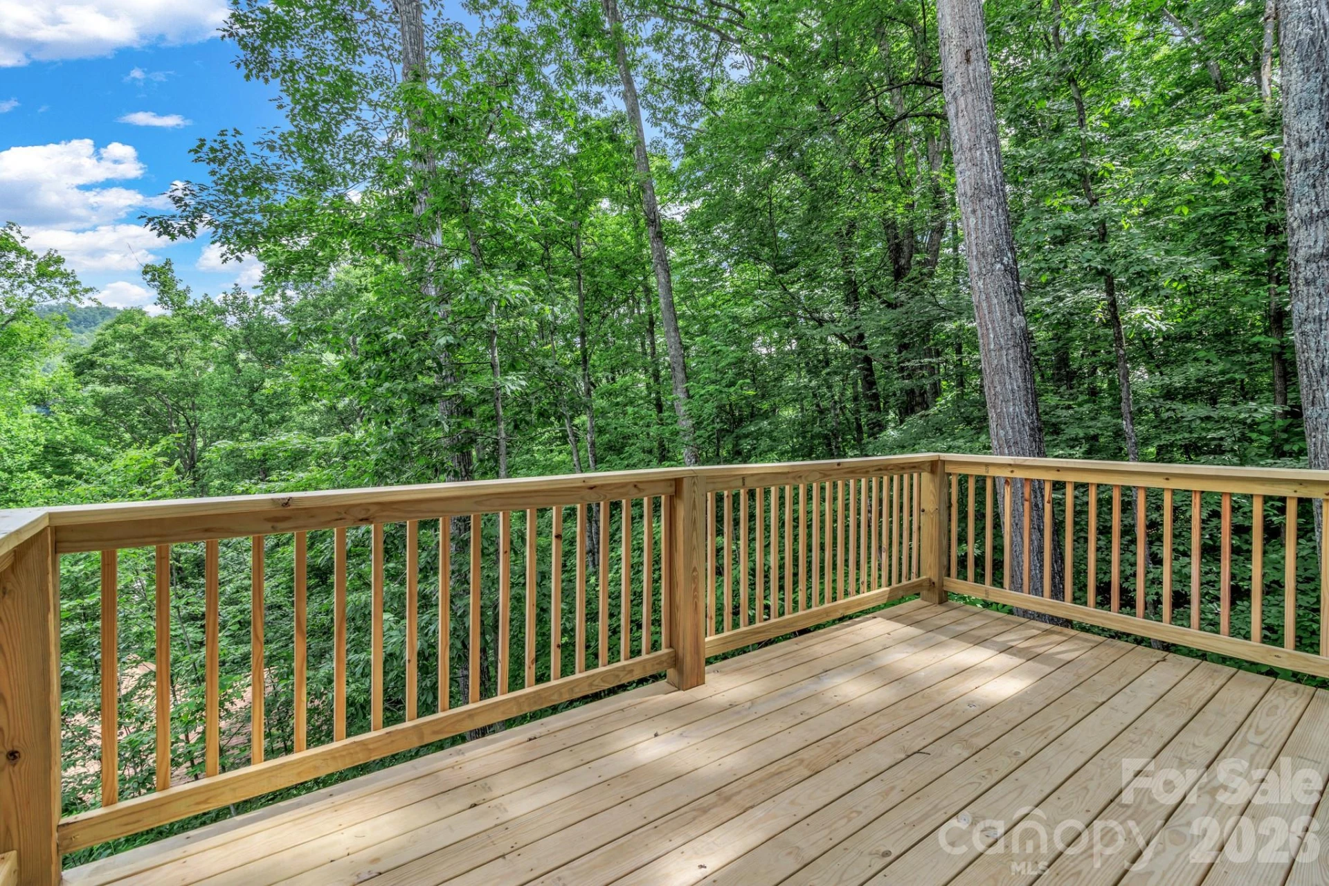 50 Sleeping Bear Ridge - Photo 31